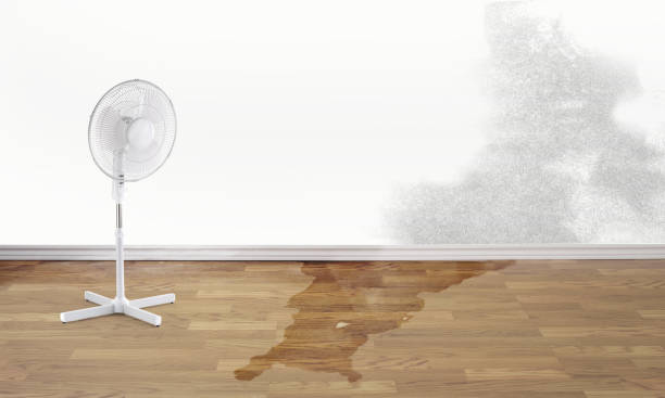 Best Ceiling water damage repair  in Elizabeth, NJ