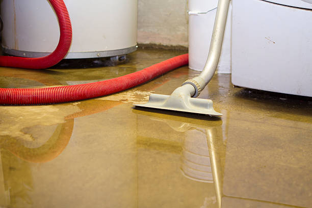 Best Commercial water damage restoration  in Elizabeth, NJ