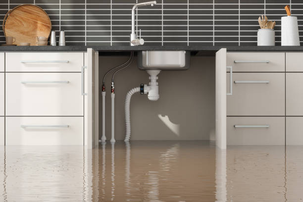 Best 24/7 water damage repair  in Elizabeth, NJ